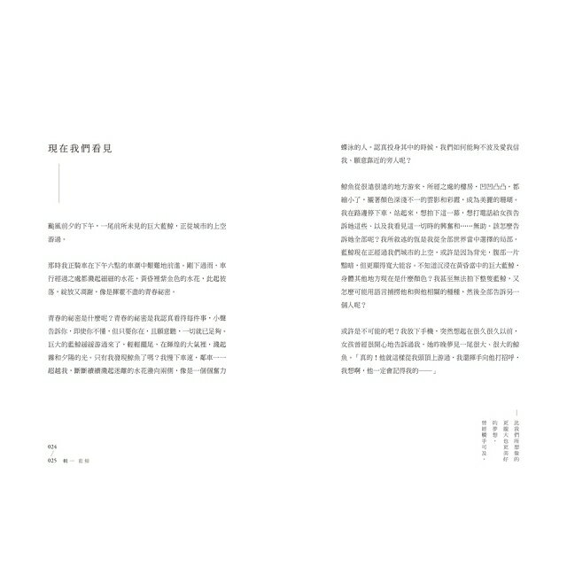 蜂蜜花火 致年少時光 限量插畫設計書衣典藏版 商品評價 樂天書城 Rakuten樂天市場