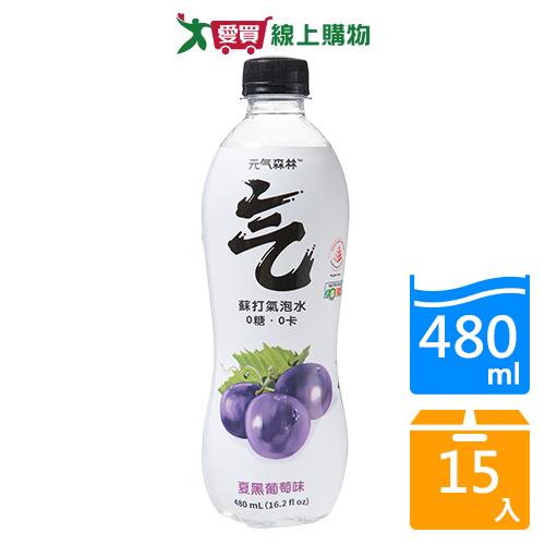 元氣森林夏黑葡萄味蘇打氣泡水480mlx15入/箱【愛買】