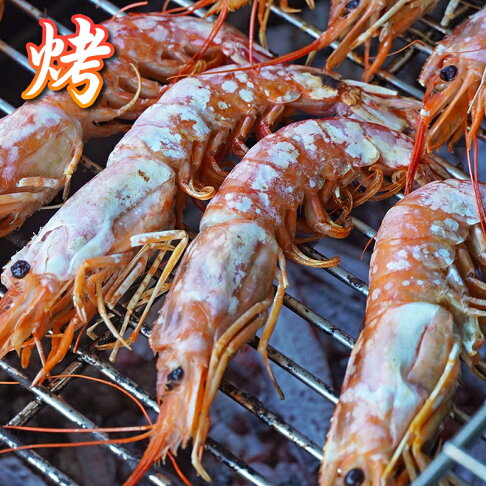 【永鮮好食】巨無霸阿根廷 頂級天使紅蝦L1(約30-40尾)1盒(2kg/盒) 生食 燒烤 海鮮 生鮮 5