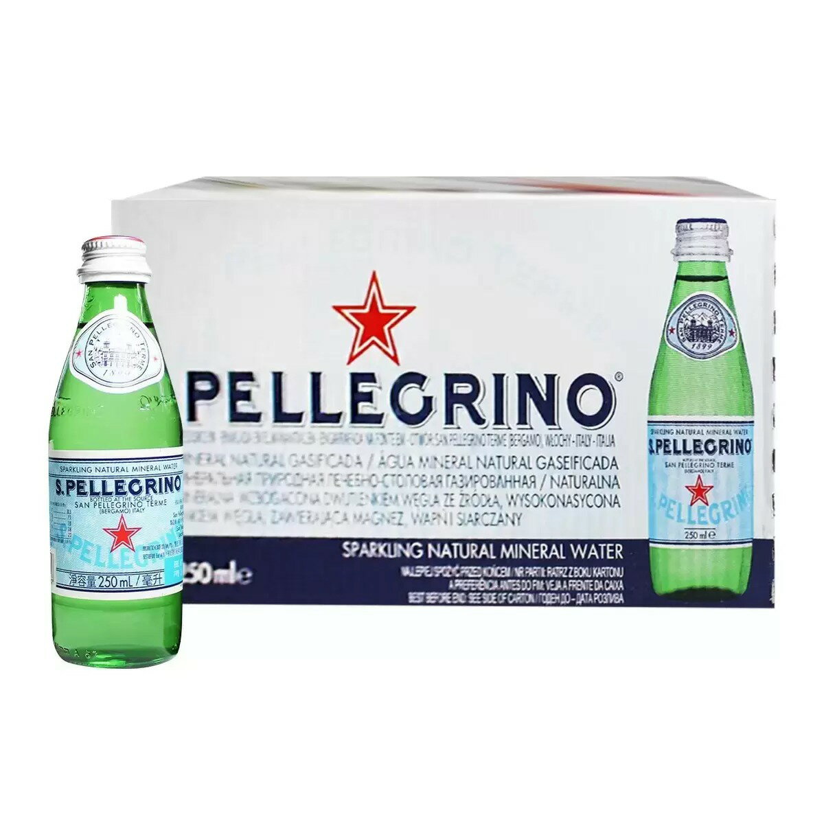 【10%點數回饋】San Pellegrino 聖沛黎洛 天然氣泡水 250毫升 X 24瓶