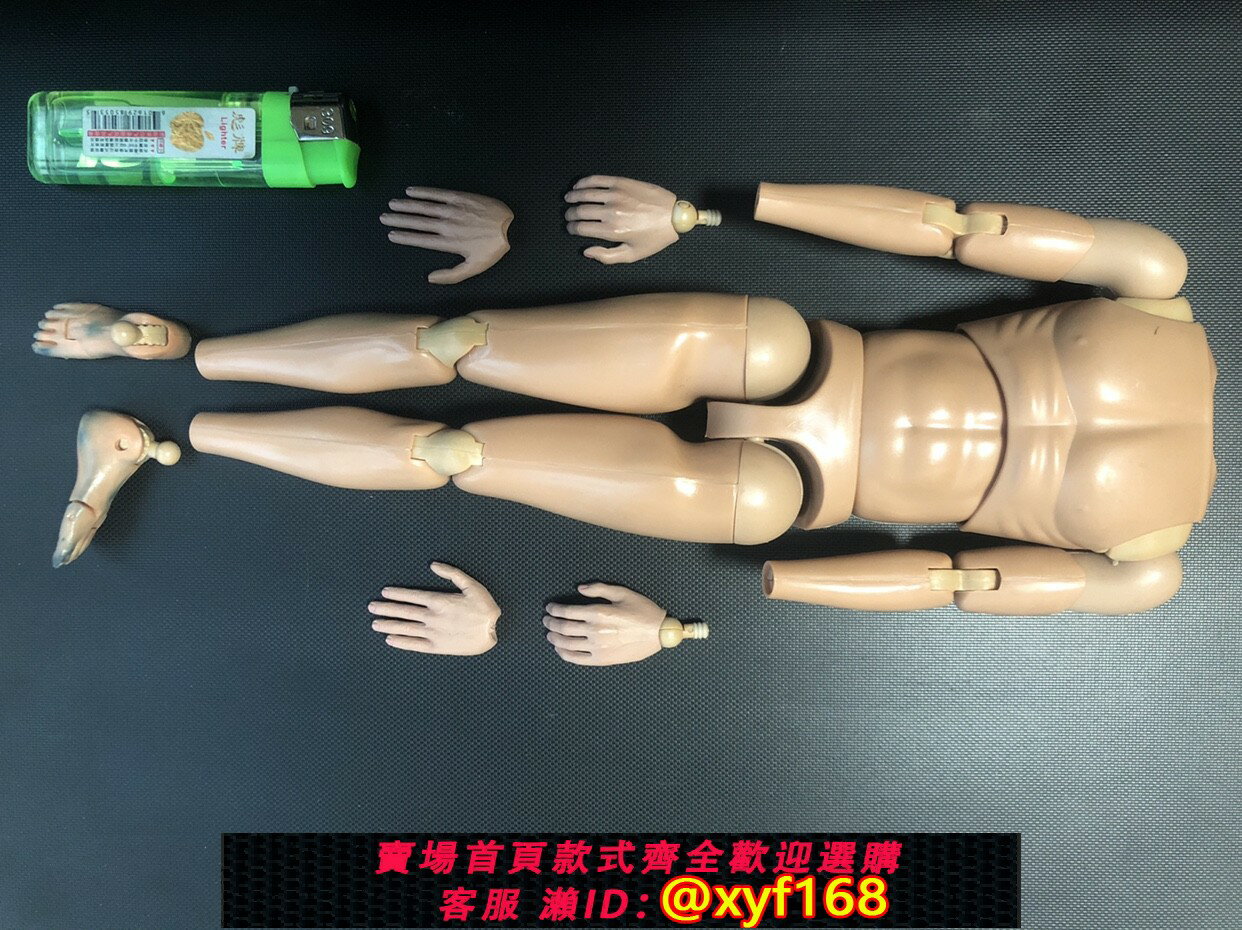 {保固一年 可打統編}1/6兵人模型 DID標準素體一套 腳掌有染色含一對可動手型