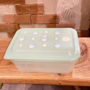 真愛日本 龍貓抗菌保鮮盒 龍貓保鮮盒 龍貓保存保鮮盒 450ml 龍貓藍 保鮮盒 水果盒 沙拉盒 餐盒