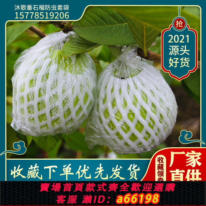【臺灣公司 可開發票】番石榴套袋網袋芭樂防蟲網袋專用一體泡沫包裝袋石榴袋水果網套