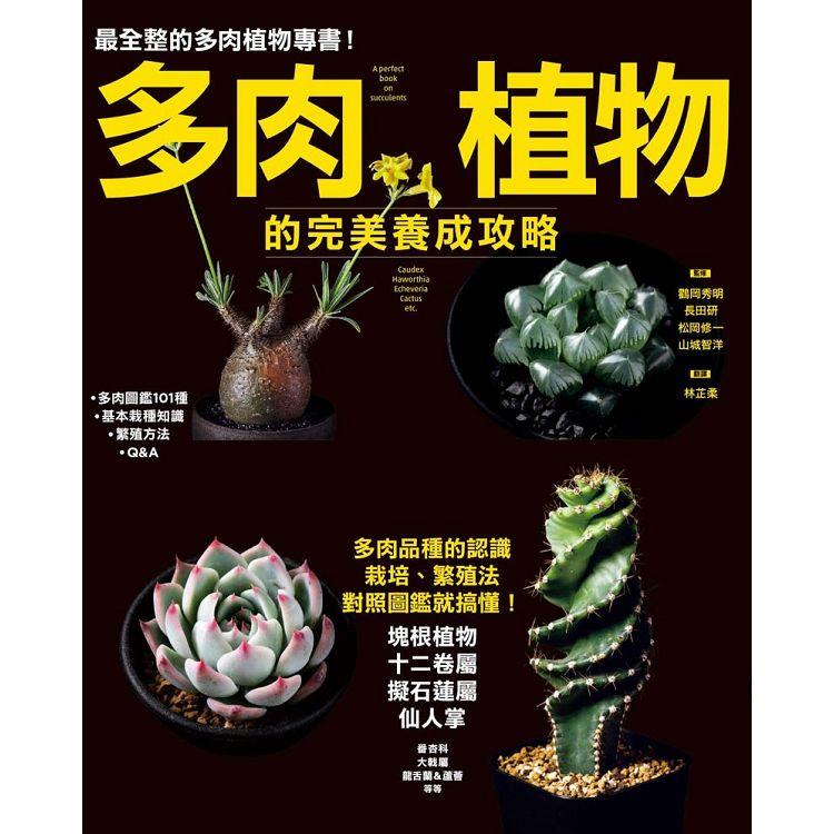 多肉植物的完美養成攻略 | 拾書所