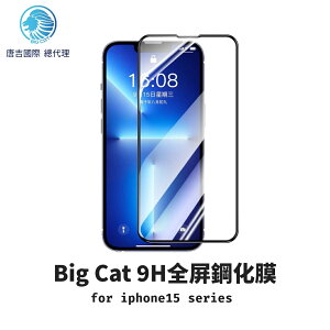 Big Cat 巨獅 9H全屏鋼化膜 for iphone15 保護貼 保護膜