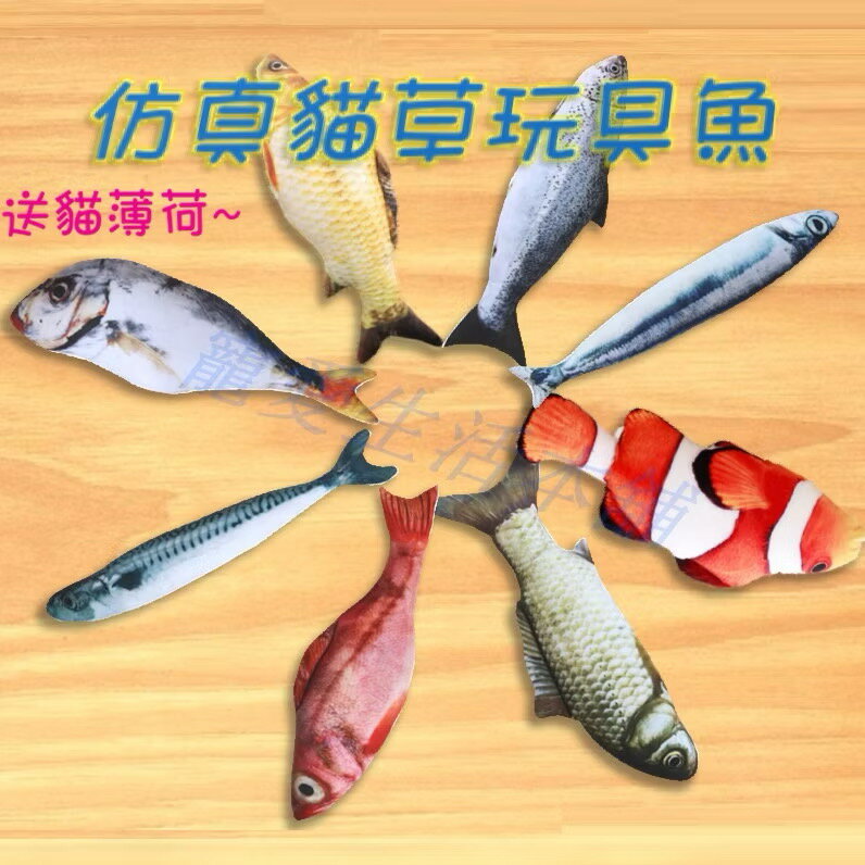 【寵愛生活本舖】貓咪玩具 模擬絨毛貓薄荷玩具魚 絨毛玩具