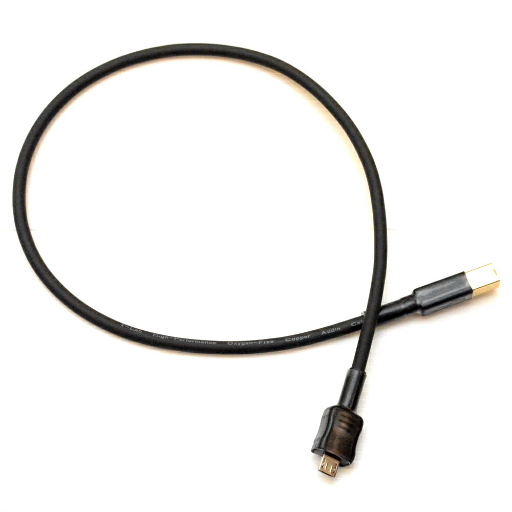 <br/><br/>  志達電子 DL020 T-LAB micro USB 轉 USB B公 OTG USB DAC 專用傳輸線<br/><br/>
