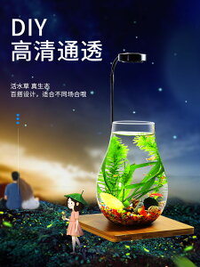 帶LED燈迷你水族箱創意diy生態瓶魚微景觀辦公桌面小型玻璃魚缸（不送魚）