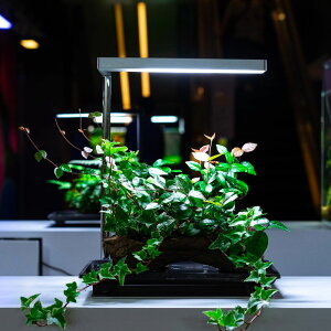 ONF｜Flat Nano 水陸植物立燈（極簡銀)