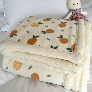 冬季加厚單人羊羔絨毛毯薄款小毯子辦公室午睡毯法蘭珊瑚絨沙發毯