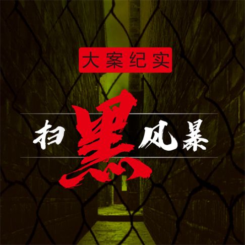 【有聲書】大案纪实之扫黑风暴 0