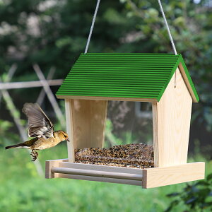 餵鳥器 餵食器 鳥糧盒子 布施喂鳥器 戶外自動投食器 懸掛式房子鳥食盒陽臺防雨喂食器 鳥用品