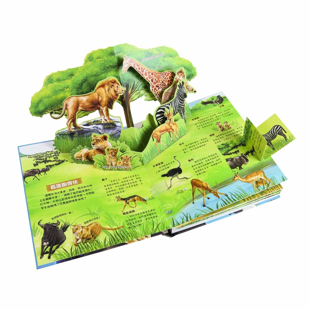 媽媽買 3D立體有聲書 華碩文化 有聲書 厚紙書 立體書 2