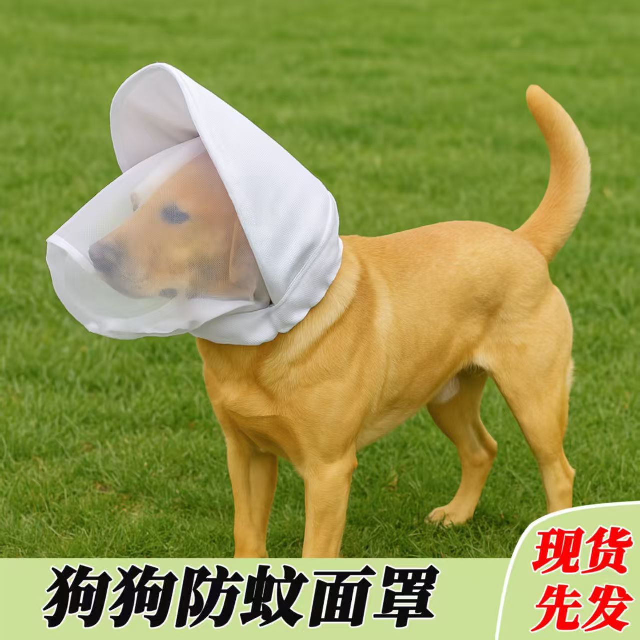 新款狗狗防蚊蟲叮咬頭套兩色可選 狗狗防咬防亂吃頭套 寵物用品