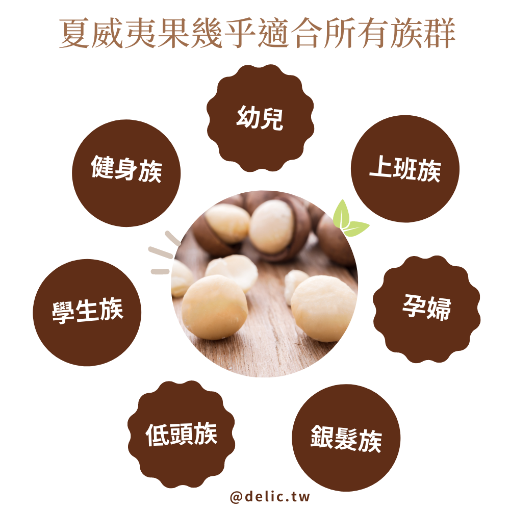 澳洲原味夏威夷果Macadamia零添加，品嚐最純粹的堅果香【Delic好食嗑】 7