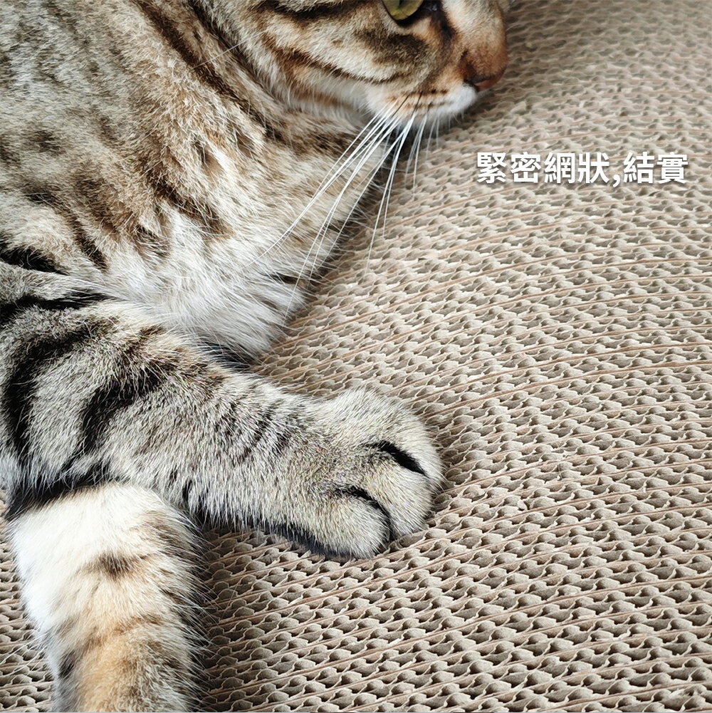 【台灣現貨】高端加硬貓抓板 貓沙發貓睡窩 超大號貓抓板 貓玩具貓抓柱 高密度不傷爪貓抓板 耐抓耐磨貓咪磨爪 7