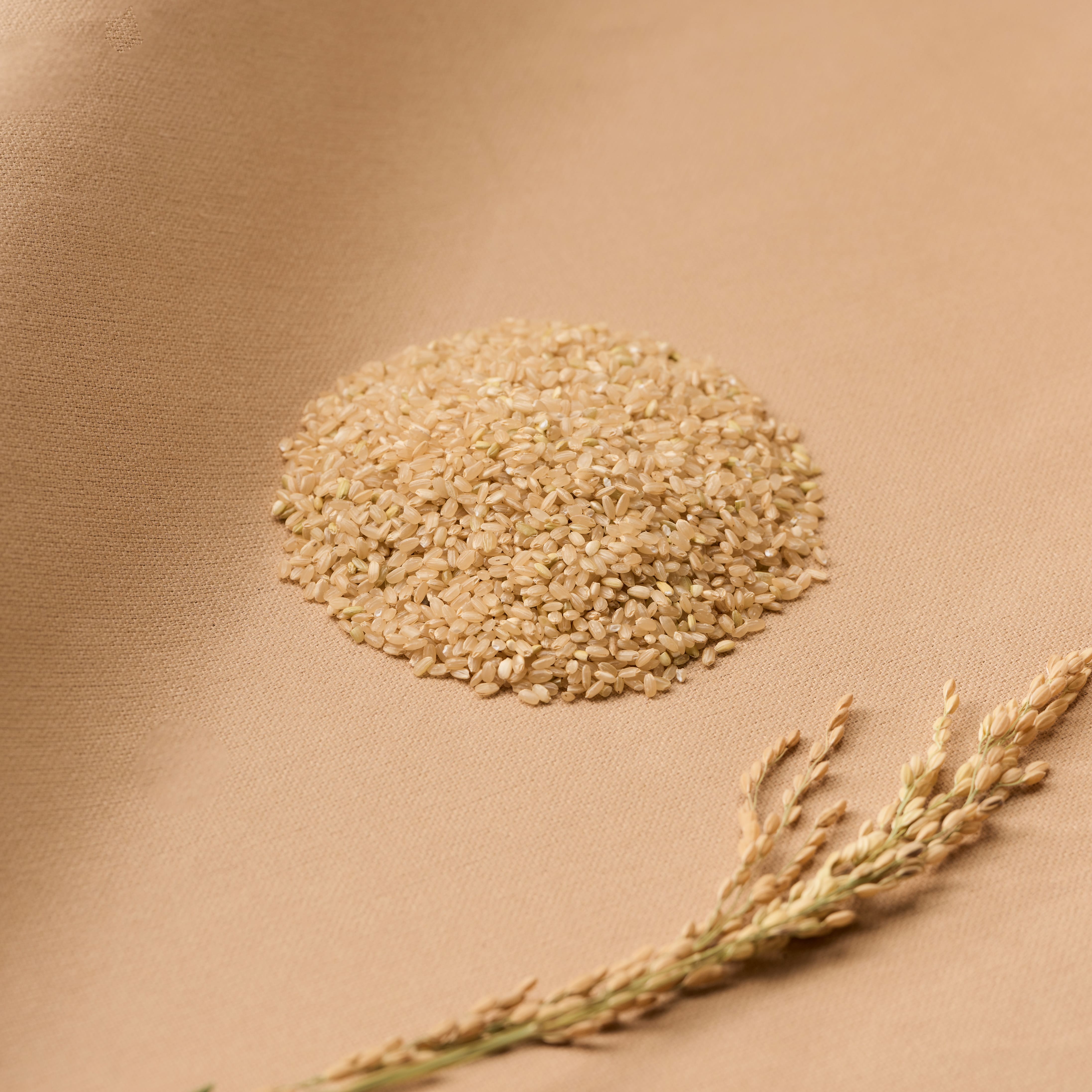 【咕榖】  台東三十號 (1KG/2KG） 農民契約合作 現碾米 現碾白米 糙米 胚芽米 食用米 1