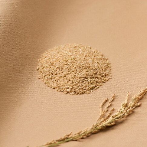 【咕榖】 台東三十號 (1KG/2KG) 農民契約合作 現碾米 現碾白米 糙米 胚芽米 食用米 1