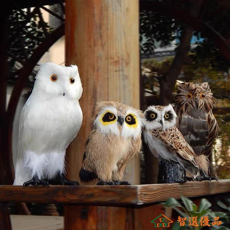 模擬鳥 模擬貓頭鷹模型擺件小貓頭鷹公仔玩偶模擬動物鳥類羽毛玩具裝飾品 快速出貨