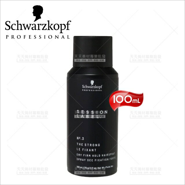 施華蔻Schwarzkopf 黑颶風定型霧100ml新包裝[63113]專業沙龍 定型液