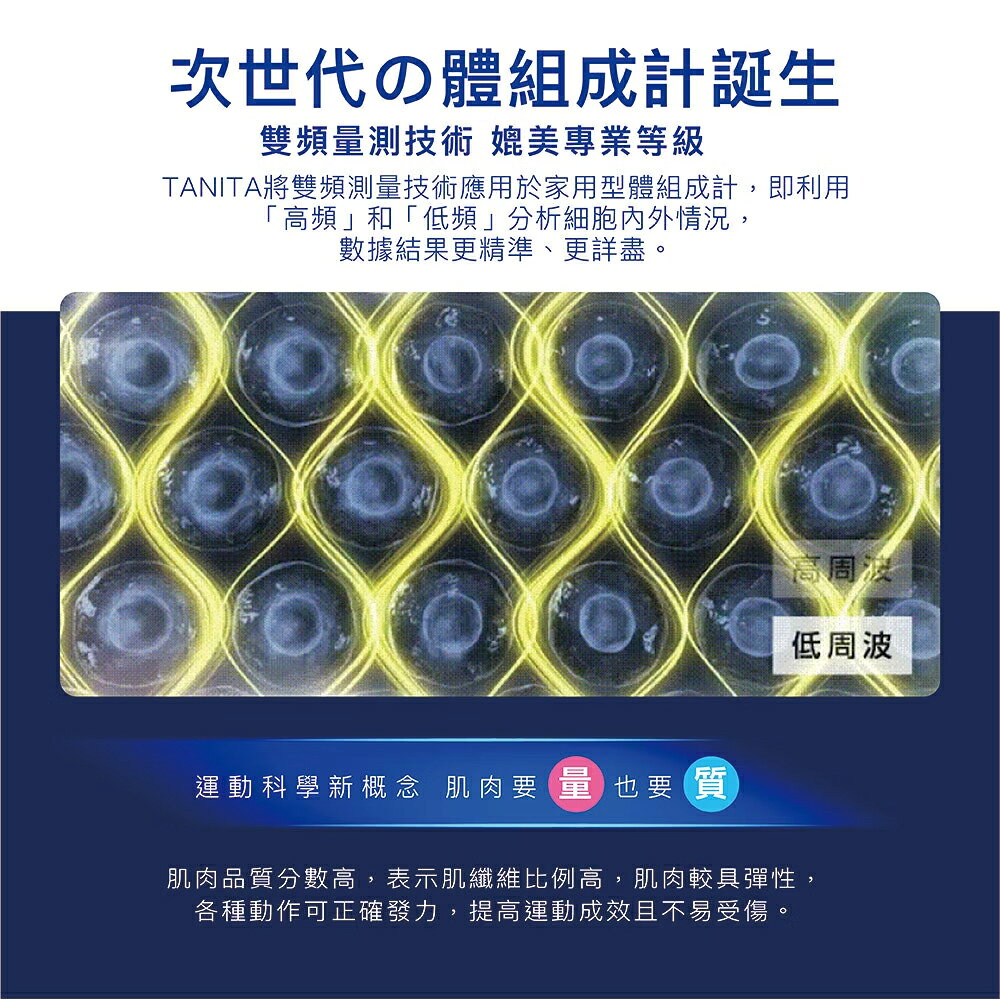 【醫護寶】免運(贈筋膜槍)TANITA 日本製藍芽體脂計 RD-545 十二合一藍牙八點式體組成計 1