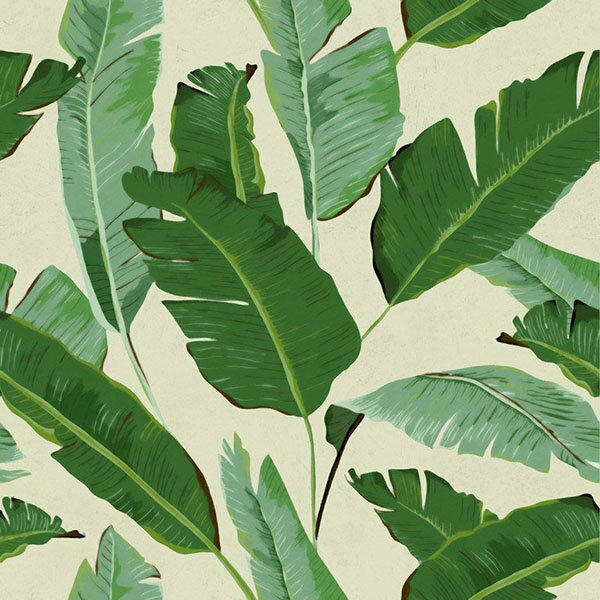 綠色植物 森林系 從風格選擇 第6頁 壁紙屋本舖 Rakuten樂天市場