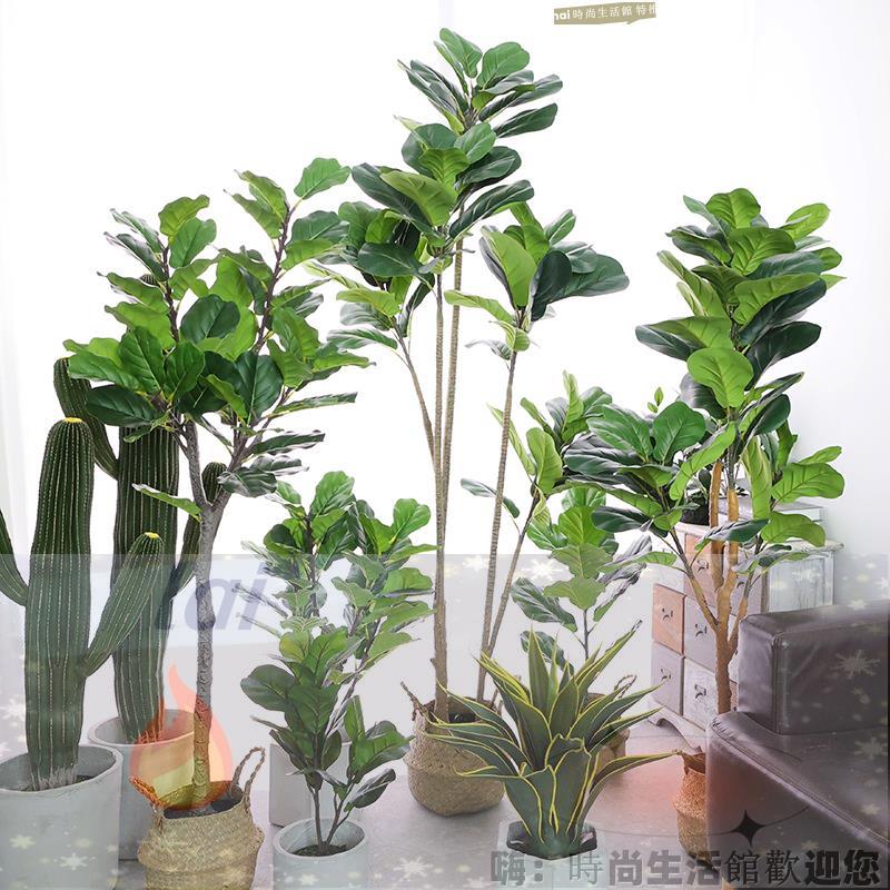 免運 可開發票 模擬綠植大葉琴葉榕盆栽客廳落地大型假網紅植物室內造景裝飾盆景