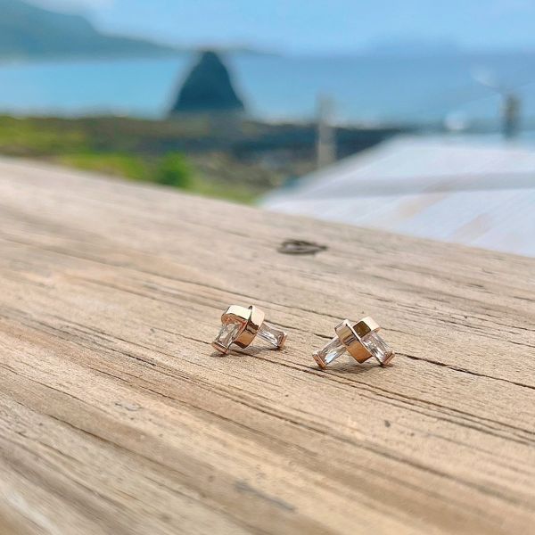 現貨專區｜鎖．銀針耳環(hdess103)｜送禮精選店家★Reyna jewelry 女王飾品