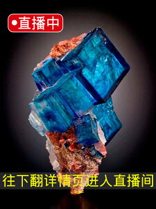 直播專拍 天然水晶礦石海藍寶原石釩鉛礦 藍銅礦擺件礦物晶體標本
