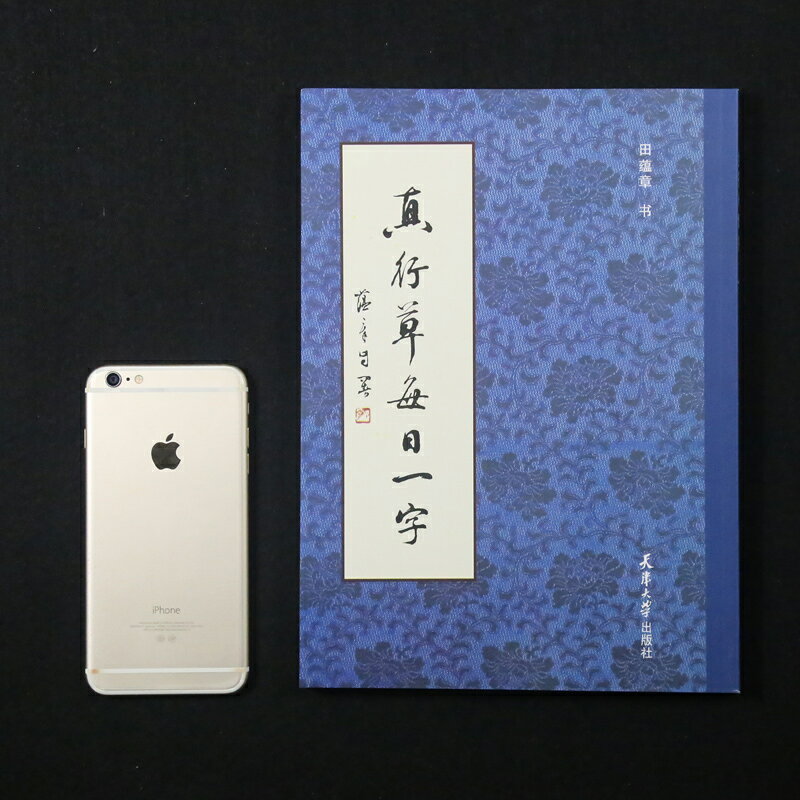 田蘊章每日一字字帖 真行草每日一字 楷書毛筆書法教程 書法毛筆字帖 田楷千字文楷書行書草書入門 文房四寶 1