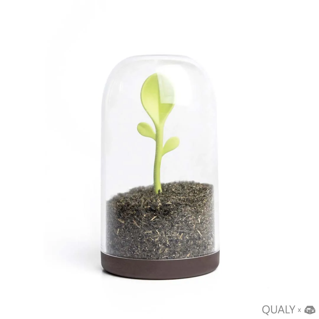 【築實精選】QUALY × Sprout Jar 嫩芽出土置物罐
