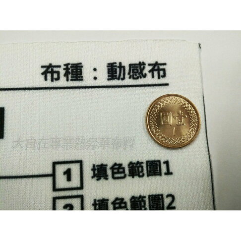 含稅附發票 熱昇華 籃球衣 籃球褲 單面穿 籃球服 比賽服 SBL NBA 熱昇華 彩色 客製 團體 大量有優惠【大自在運動休閒精品店】 3