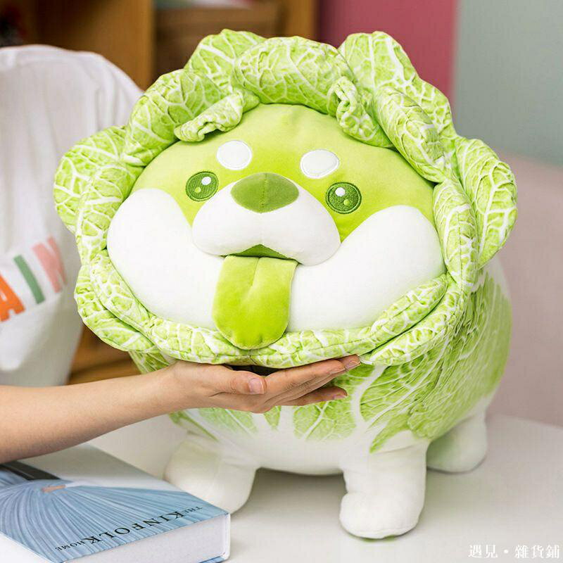 超大號白菜狗 菜狗公仔 蔬菜精靈 白菜狗 狗公仔 小狗毛絨 白菜狗娃娃 睡覺抱枕 菜狗 精靈狗 蔬菜精靈 生日禮物