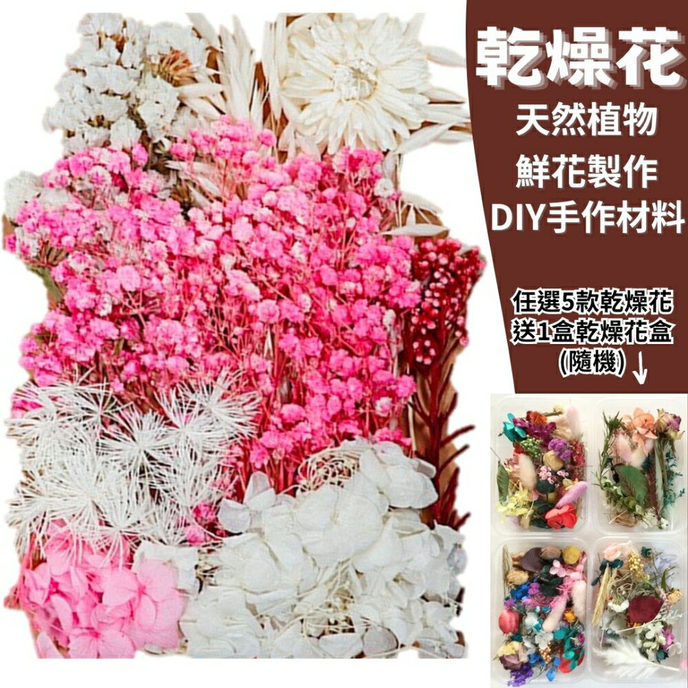 【A-ONE】天然植物 火樹銀花 拍照道具 花材 花藝材料包 浮游花 永生花 浮油花 乾花 乾燥花材 C10