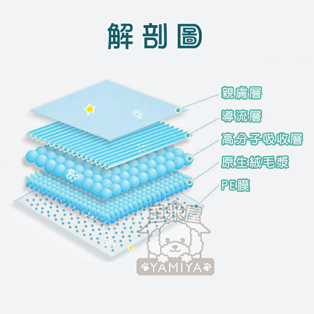 噓噓shh-寵物尿布 寵物紙尿褲 寵物紙尿布 公母狗尿布 狗狗紙尿布 禮貌帶 生理褲 紙尿布 紙尿褲《亞米屋Yamiya》 2