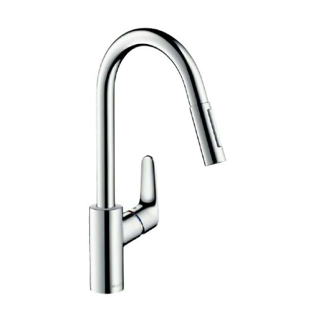 【hansgrohe】廚房花灑伸縮龍頭-無安裝服務 (31815) 1