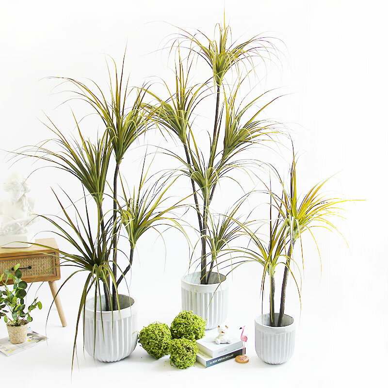 北歐風模擬龍血樹熱帶沙漠植物落地綠植盆栽室內客廳大型裝飾擺件