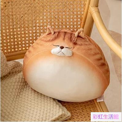 日系萌寵貓咪抱枕 軟Q貓貓圓抱枕 蛋蛋貓 公仔玩偶 毛絨玩具 床上睡覺超軟 大抱枕布娃娃 | 彩虹生活館 | 樂天市場Rakuten