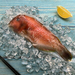 【亮生鮮】澎湖現流連仔(寒鯛)/紅石硓/野生鮮魚 350g±3%
