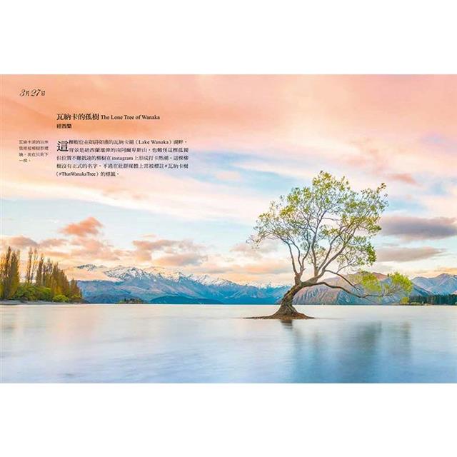 一日一樹一故事：每天用一棵樹讓自己沉浸在大自然裡 6