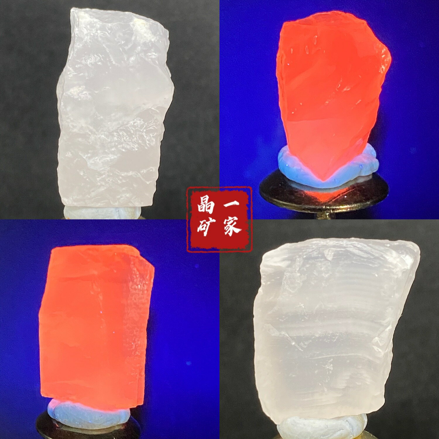 內蒙天然錳方石解強熒光石礦物晶體標本入門教學收藏盒子貓礦收藏
