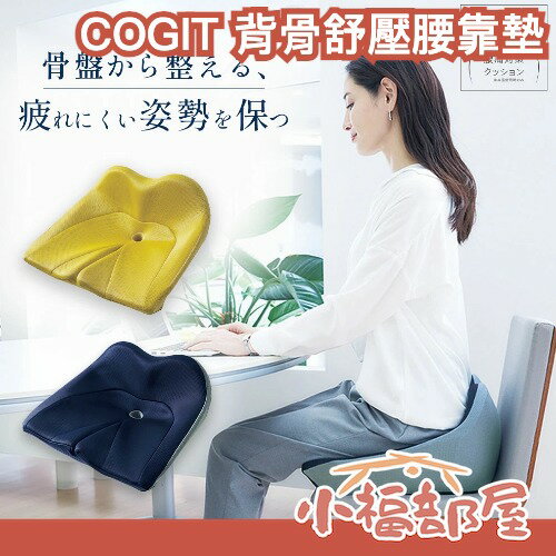 日本 COGIT 背骨伸展腰靠墊 腰痛對策 高彈力護腰 坐姿調整 美姿 坐墊 骨盆支撐 辦公室 久坐推薦 腰痠救星 體態【小福部屋】