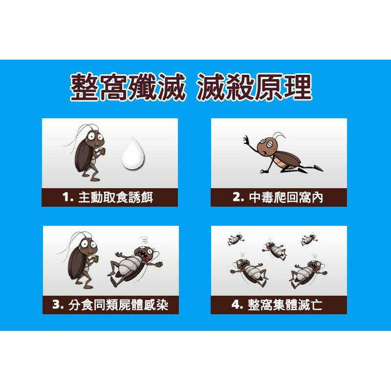 Bayer 拜耳 拜沛達蟑螂凝膠餌劑 12G | 蟑螂藥 蟑螂餌膠 中西化學 原廠公司貨 3