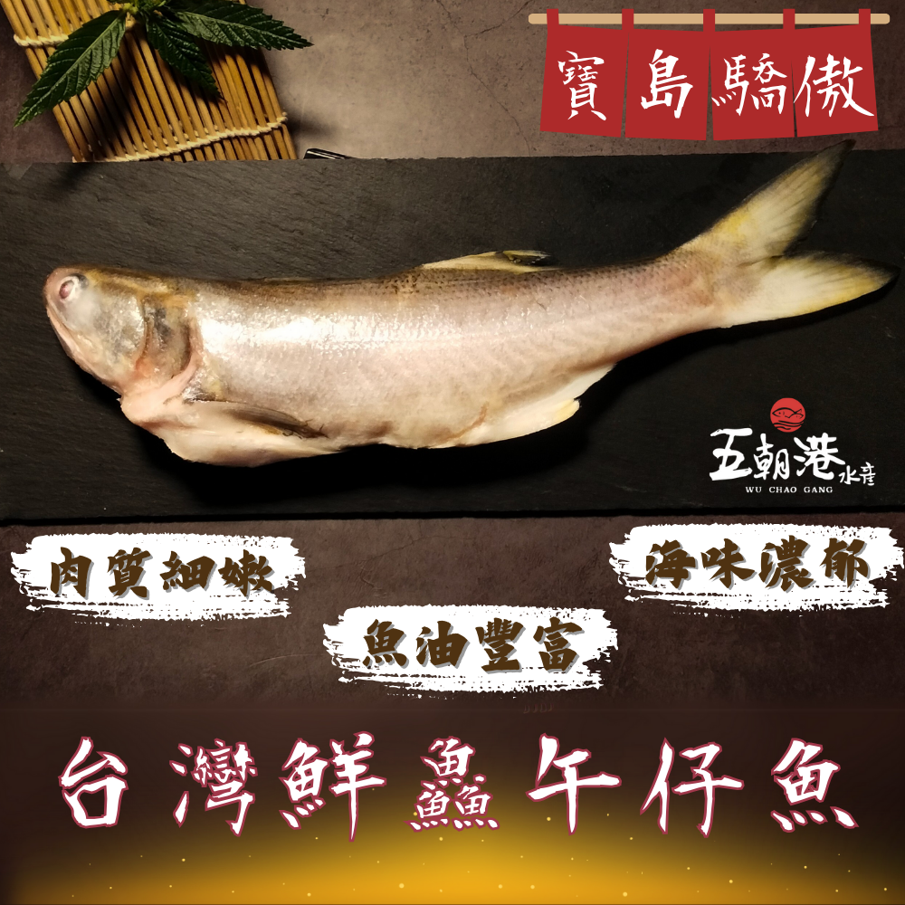 台灣鮮鱻午仔魚 (250-300克/隻) 海鮮 生鮮 台灣第一名 最鮮好魚 屏東特產 三去處理去鱗、去鰓、去內臟