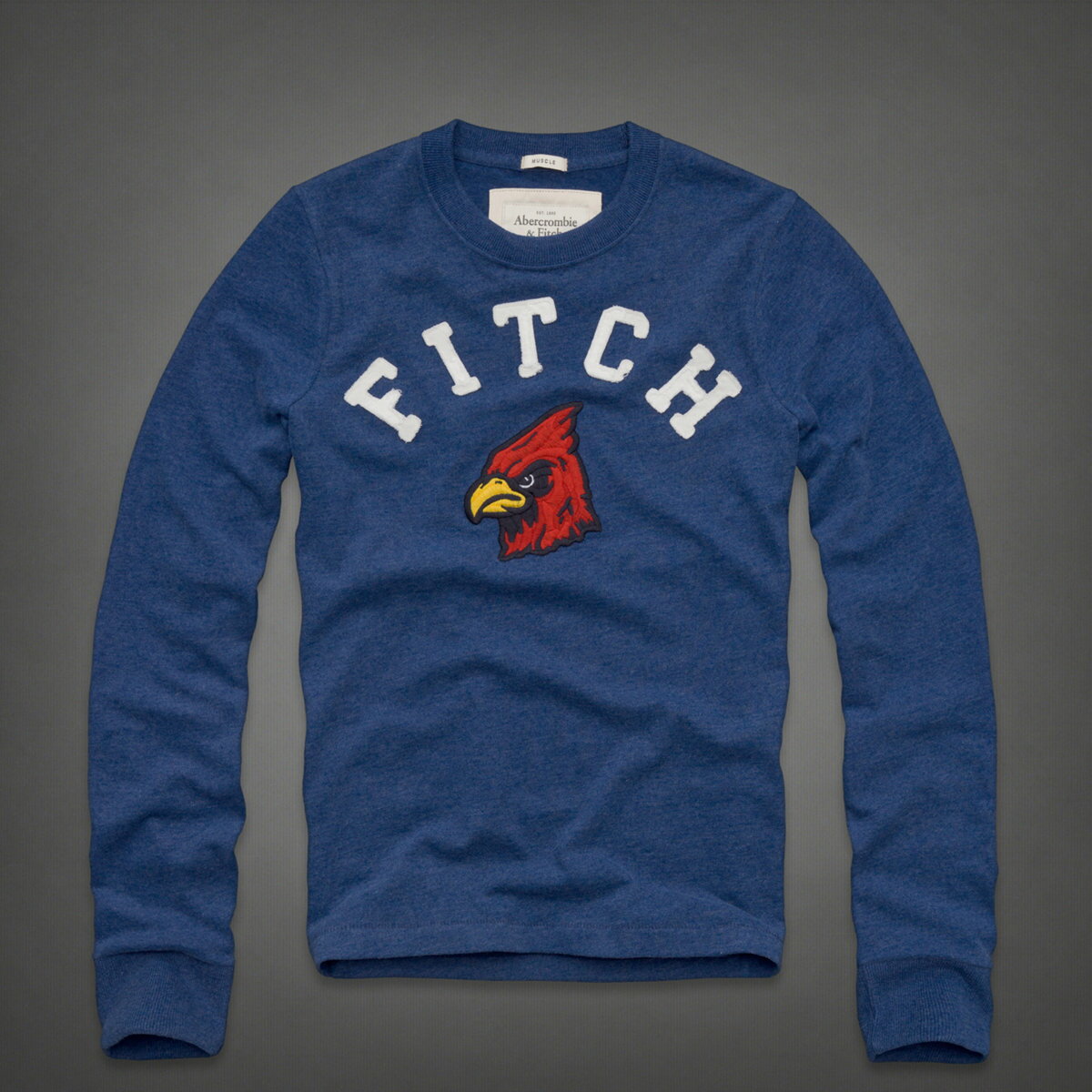 美國百分百【全新真品】Abercrombie & Fitch T恤 AF 長袖 上衣 T-shirt 麋鹿 動物 藍 鳥 男 L XL B648