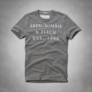 美國百分百【全新真品】Abercrombie & Fitch T恤 AF 短袖 T-shirt 麋鹿 灰 文字 字母 刺繡 男 S M號