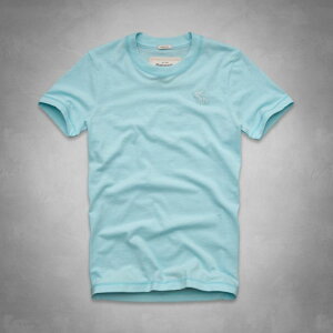 美國百分百【全新真品】Abercrombie & Fitch T恤 AF 短袖 上衣 T-shirt 麋鹿 天藍 圓領 Logo 男 XXL