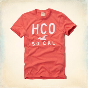 美國百分百【全新真品】Hollister Co. T恤 HCO 短袖 T-shirt 海鷗 粉橘 文字 刺繡 Logo 男 M L XL
