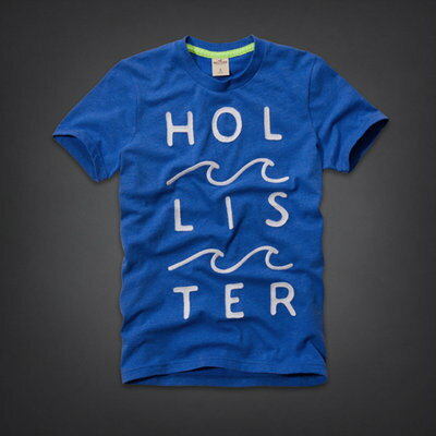 美國百分百【全新真品】Hollister Co. T恤 HCO 短袖 T-shirt 海鷗 寶藍 文字 海浪 圓領 男 M L號
