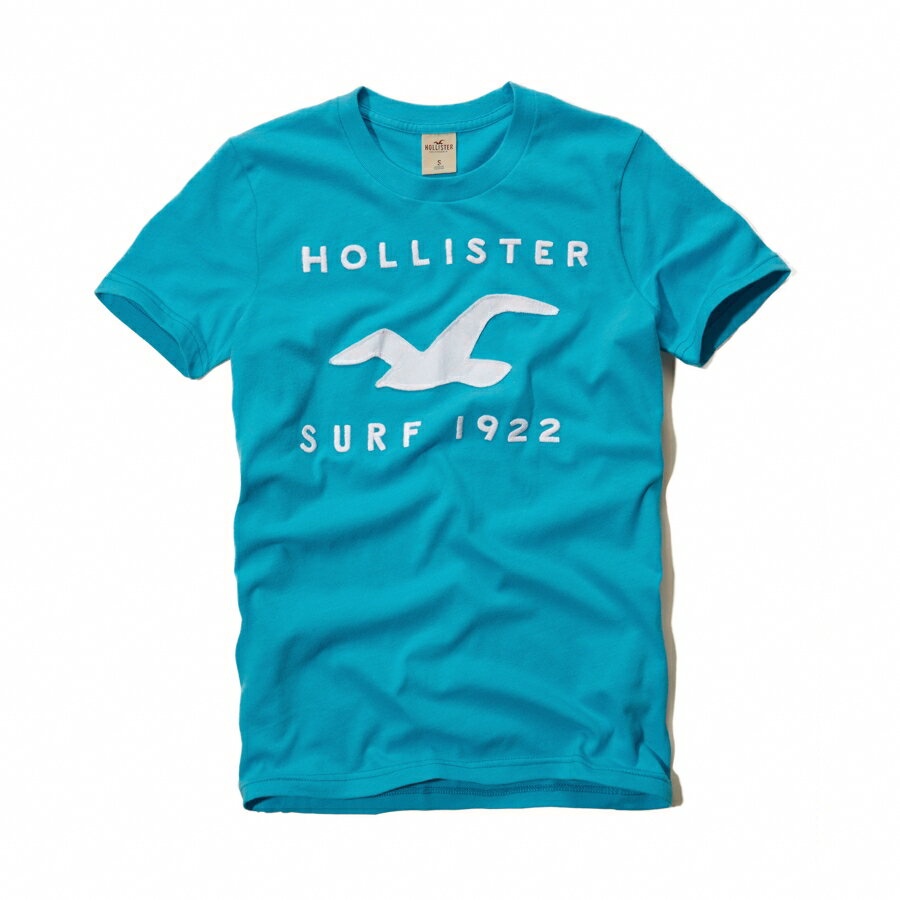 美國百分百【全新真品】Hollister Co. T恤 HCO 短袖 T-shirt 海鷗 天藍 文字 刺繡 Logo 圓領 男 S M XL號